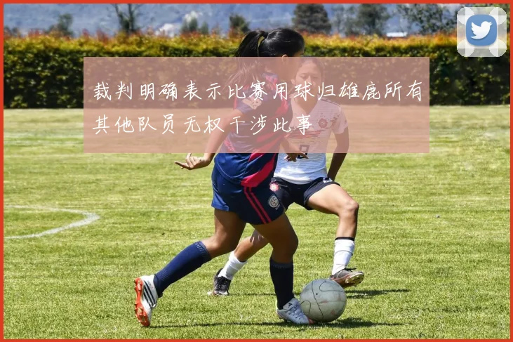 裁判明确表示比赛用球归雄鹿所有其他队员无权干涉此事